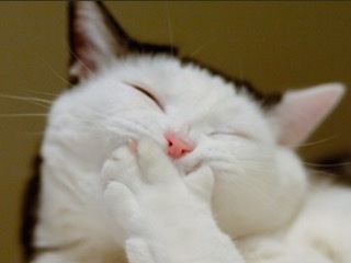 B6704C11-41C1-4BD6-A7A5-9DF30C0C9832.png