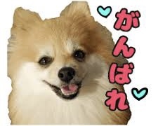 68831A6B-712B-4A0A-9B42-1F95A6D2DFE7.jpeg