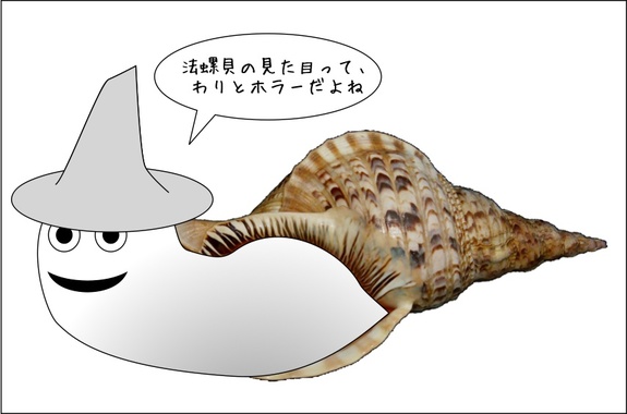 法螺フキン.jpg