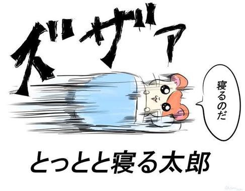 5CE03B3C-6F6D-43F3-AD73-115504D39F73.jpeg