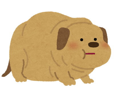 pet_fat_dog.jpg