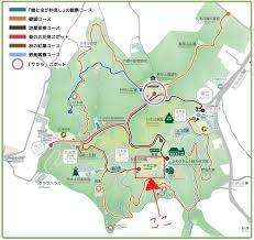 images_(3).jpeg