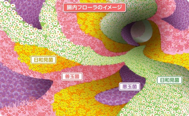 腸内フローラ.jpg