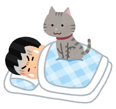 pet_cat_omoi_sleep_man.jpg