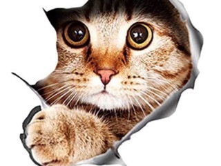 17BB9554-443B-451F-9729-E0CDCA8BB76D.png