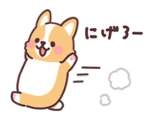 3D2D5FA4-9275-4DA9-BE99-0FC16150F463.jpeg