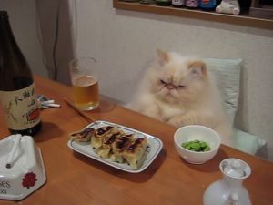 img_5610d3c6ad5a1.jpg