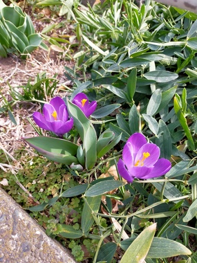 IMG20220310130909.jpg