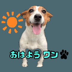 a1208707-0.png