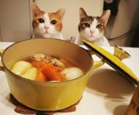 IMG_20220313_201241.jpg