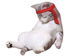 BB015BEA-654E-4ACD-8FDF-E4C50E30F93F.png