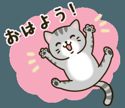8e0a0bd3f6de5aaca7f51569bbd22011.png