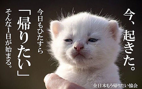 2193cabab61635bc95d83a6d4687a76f.jpeg
