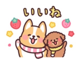 5442F34F-3BE1-4D57-A77E-5263ADE63A6B.png