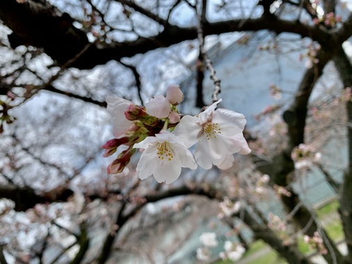 94498F24-CB64-4C36-AA07-F958EC43306C.jpeg