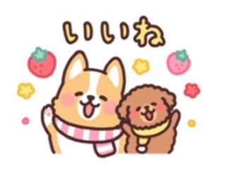 7557A9A8-82BC-45C7-8039-2B5E04E1FFC8.jpeg