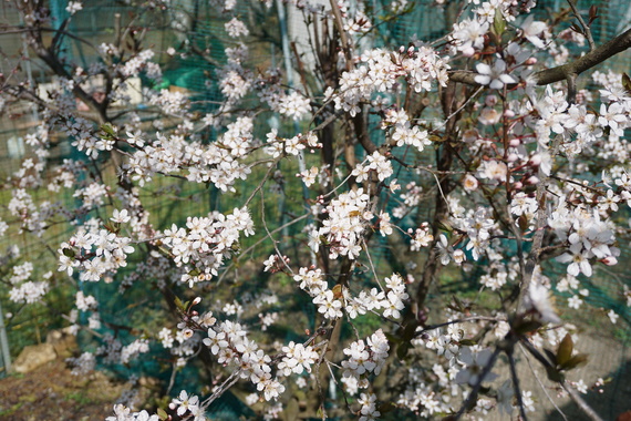 DSC02368.JPG