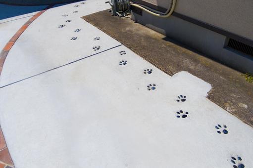 きれいな足跡.jpeg