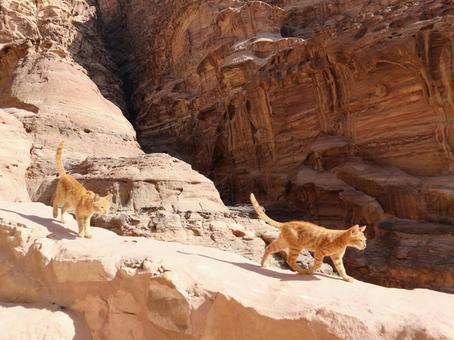 ヨルダン ペトラ遺跡.jpeg