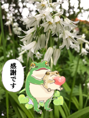 8DE77E24-4D0A-465E-9536-1D9DF719D3B9.png