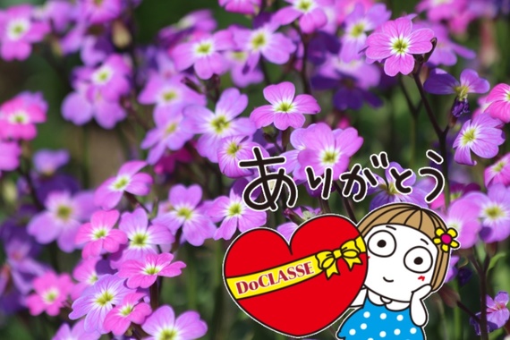 D80F2AED-A70F-4ACB-AB00-EE655B924203.png