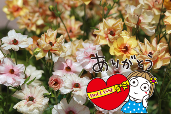 26AD8D4B-84E9-46E6-AAA6-4A76446534C2.jpeg