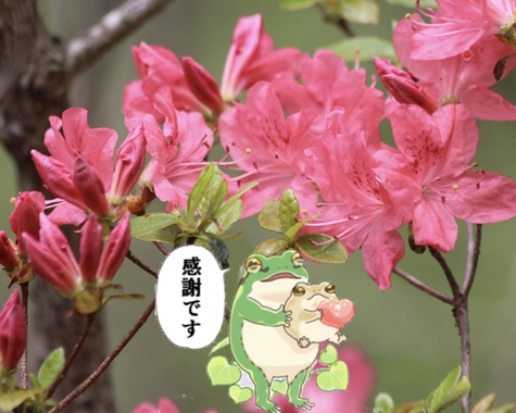 EFA3E6F4-95DA-49ED-91D4-2AE5657A19CE.jpeg