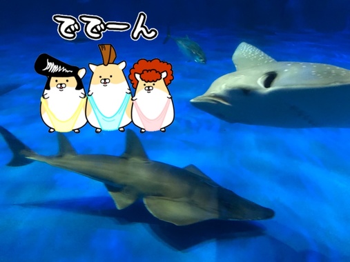 8C152DD4-6F39-464F-8EC0-D3B24D905FB4.png