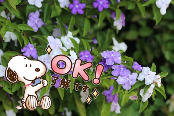 3193CE91-AC6D-4B1D-A16F-AB6C0CEE5213.png