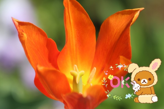 5ECD667B-6D1A-40CF-9197-DC71EA80ACCD.png