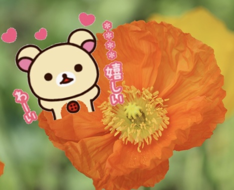 3840200B-D1C7-4F95-81E2-4ADAA3C0E6FD.jpeg