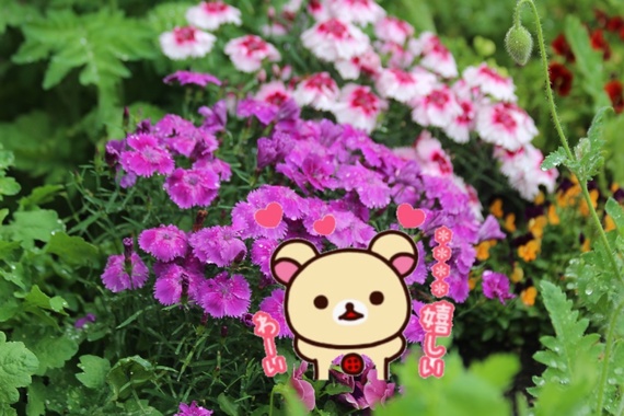 0BFEE117-D478-474C-8907-C7364188EA7D.png