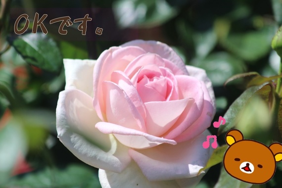 5793BB39-9D5A-463F-9C8B-A421E5E4D6AE.png