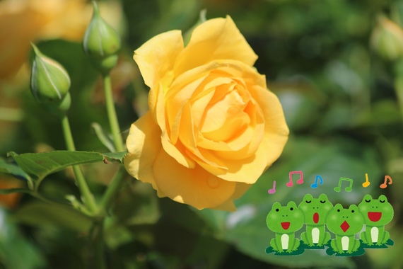 15F9CDDB-04F2-48DB-BF2B-A85047A6EB6B.png