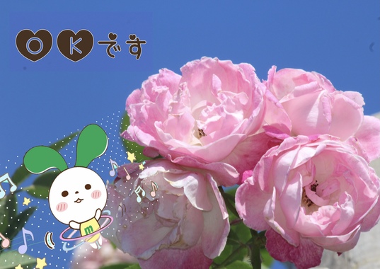 56D179EB-D32A-421F-90D3-928A92CDEDD5.jpeg