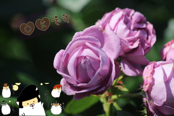 62B47742-2243-4D3D-BEAB-70C899ED3847.png