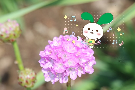 11292A33-2FB2-466A-ABDB-40FEF153F2E7.png