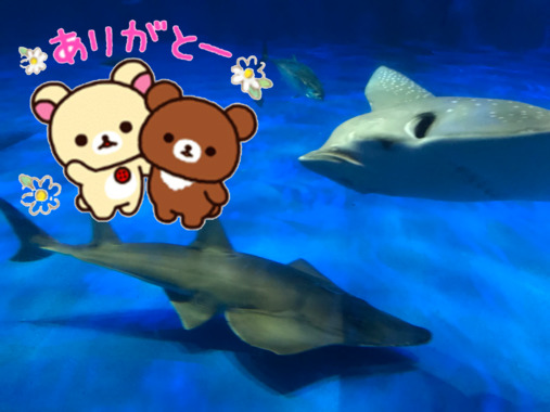 9CAFEEFD-F73C-4260-83E0-B2B7C8FFE89D.png