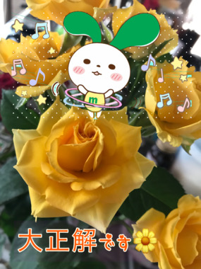 392FC709-04DA-4AC7-A26A-9BBE056225EB.png