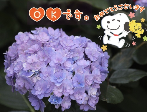 ABCC441F-C92C-4C99-99D0-48C386BF4B42.jpeg