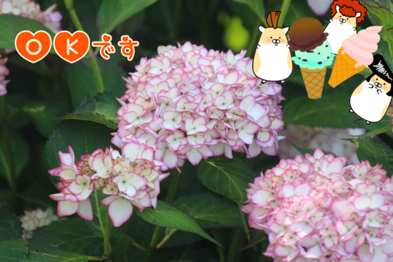 3DF11676-3B8D-41C9-AB4D-30B458F9B787.png