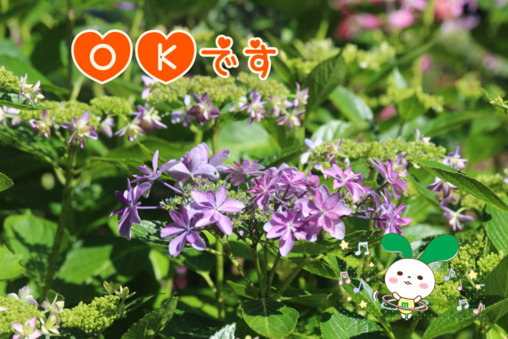 F8CD0B5F-6DE8-4873-A2E1-B65EE5C9B352.png