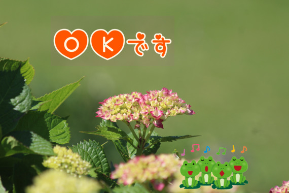48A25677-1A9E-44F6-B84D-321D5A622998.png