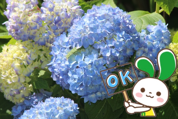 ADF5E17A-694D-47A4-8231-EBD3A9485328.jpeg