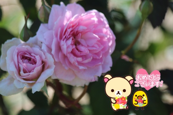 270E58A7-19F2-49F2-B994-684D94AE56BA.jpeg