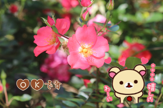 0FE652DC-6D5F-4F46-8F6F-B37EE6F05B93.png