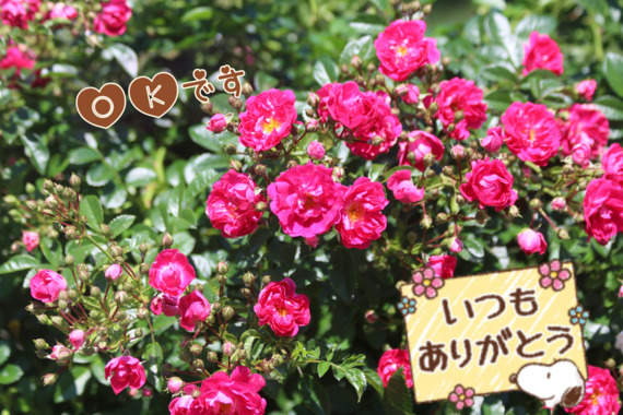517A5AAF-F932-49B8-9854-C8580421AEB2.png