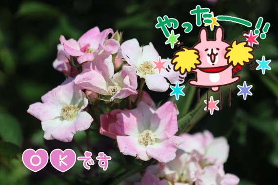 D204746F-EECA-4587-8D4A-08EC4D4792F9.jpeg