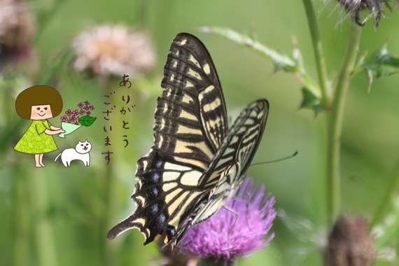 872E8969-40CC-4128-B028-7C4D8B66D093.png