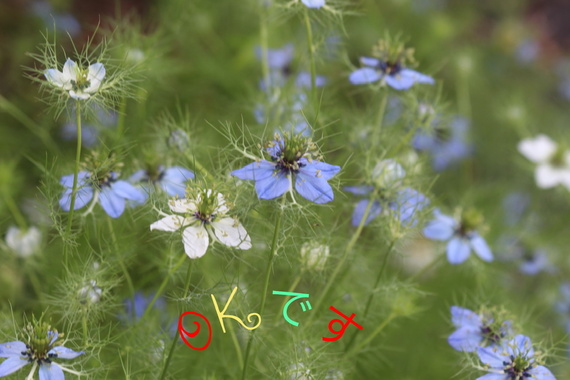9E8E6B18-4F78-4C2A-8AB2-45B4233A93BC.jpeg